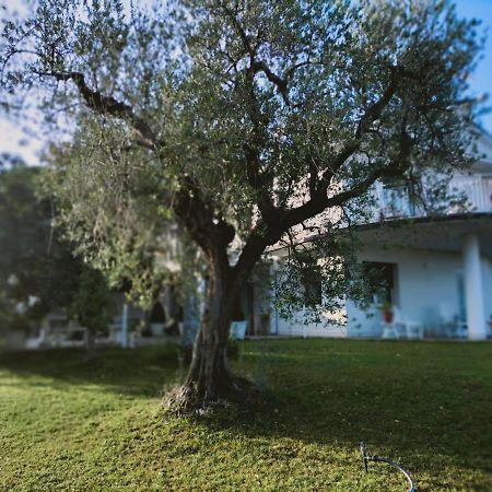 Villa Margherita San Giovanni Teatino Exterior foto